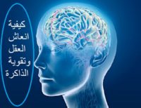 ثلاث خطوات لـ انعاش العقل والذاكرة